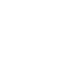 進(jìn)口大眾